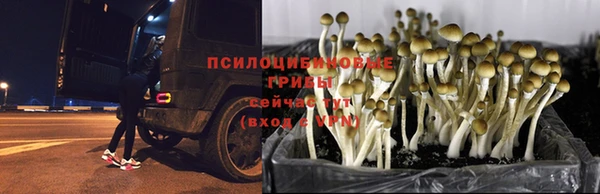 spice Протвино