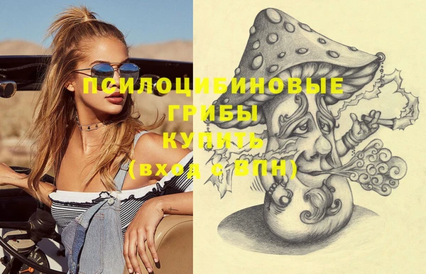 гашик Зеленокумск