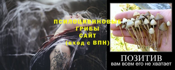 амф Приозерск