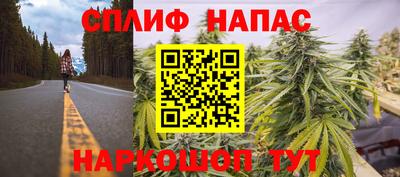 mdpv Заводоуковск