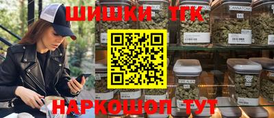 mdpv Заводоуковск