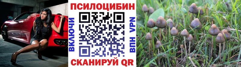где купить наркотик  Сердобск  Галлюциногенные грибы Magic Shrooms 