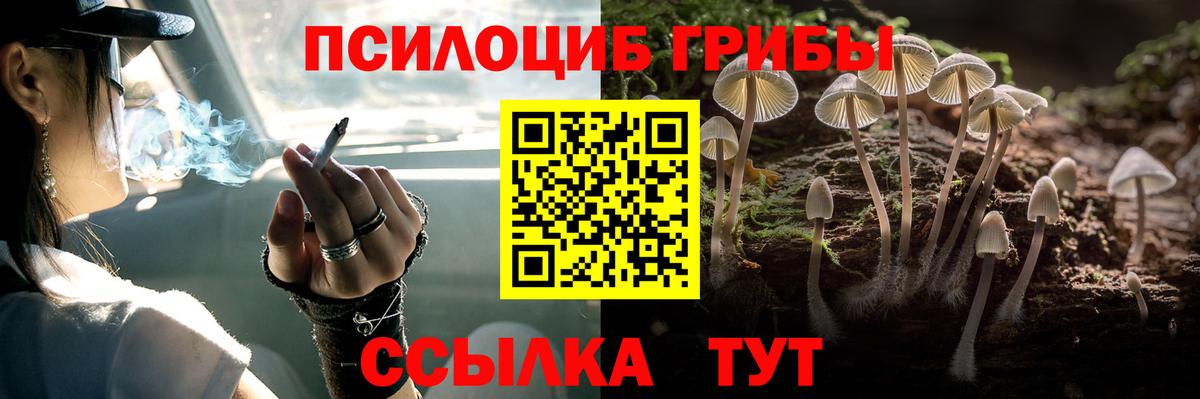 Галлюциногенные грибы MAGIC MUSHROOMS Сердобск
